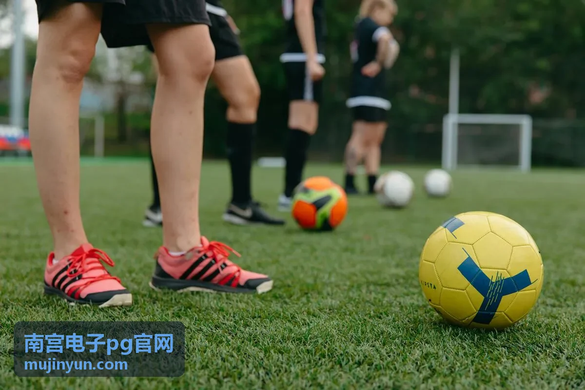 南宫电子pg官网客户端界面主题与布局设置界面