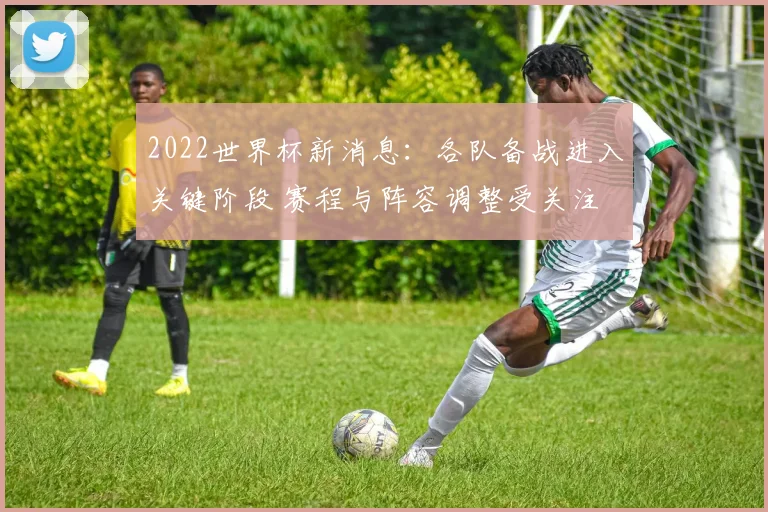 2022世界杯新消息：各队备战进入关键阶段 赛程与阵容调整受关注