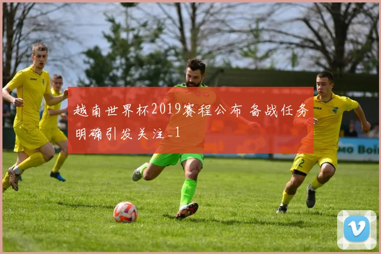 越南世界杯2019赛程公布 备战任务明确引发关注_1