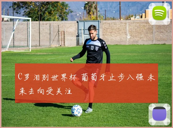 C罗泪别世界杯 葡萄牙止步八强 未来去向受关注