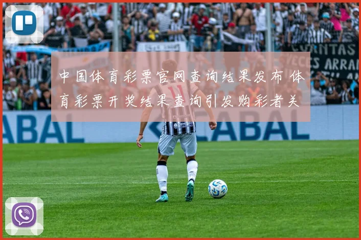 中国体育彩票官网查询结果发布 体育彩票开奖结果查询引发购彩者关注